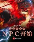 ޵дӳΪNPCʼ